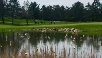 Golfers across water-14